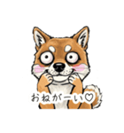 雑な目見開き柴犬（個別スタンプ：26）