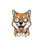 雑な目見開き柴犬（個別スタンプ：27）