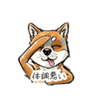 雑な目見開き柴犬（個別スタンプ：33）