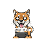 雑な目見開き柴犬（個別スタンプ：34）