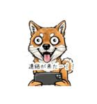 雑な目見開き柴犬（個別スタンプ：35）