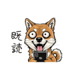 雑な目見開き柴犬（個別スタンプ：36）