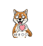 雑な目見開き柴犬（個別スタンプ：37）