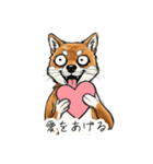 雑な目見開き柴犬（個別スタンプ：38）