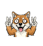 雑な目見開き柴犬（個別スタンプ：40）