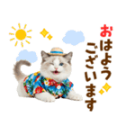 でか文字★ラグドール子猫の夏（個別スタンプ：1）