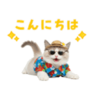 でか文字★ラグドール子猫の夏（個別スタンプ：3）