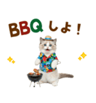 でか文字★ラグドール子猫の夏（個別スタンプ：21）