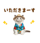 でか文字★ラグドール子猫の夏（個別スタンプ：22）