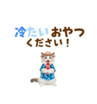 でか文字★ラグドール子猫の夏（個別スタンプ：25）