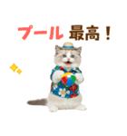 でか文字★ラグドール子猫の夏（個別スタンプ：27）