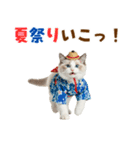 でか文字★ラグドール子猫の夏（個別スタンプ：30）