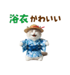 でか文字★ラグドール子猫の夏（個別スタンプ：31）