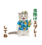でか文字★ラグドール子猫の夏（個別スタンプ：32）
