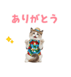 でか文字★ラグドール子猫の夏（個別スタンプ：35）