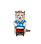 でか文字★ラグドール子猫の夏（個別スタンプ：39）