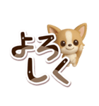 チワワ 犬スタンプ（3D）でか文字（個別スタンプ：4）