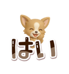 チワワ 犬スタンプ（3D）でか文字（個別スタンプ：5）