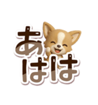 チワワ 犬スタンプ（3D）でか文字（個別スタンプ：12）