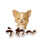 チワワ 犬スタンプ（3D）でか文字（個別スタンプ：16）