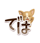 チワワ 犬スタンプ（3D）でか文字（個別スタンプ：29）