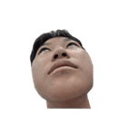 木木與他的北七朋友們（個別スタンプ：35）