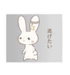 星うさちゃんスタンプ3（個別スタンプ：1）
