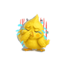 無言ネガティブオカメインコ（個別スタンプ：14）