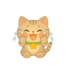 ほっぺぷくぷくスタンプ② てんちゃんver（個別スタンプ：2）