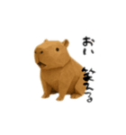 折り紙カピバラさん（個別スタンプ：10）