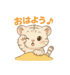 白虎くんのゆるっと暮らし（個別スタンプ：1）