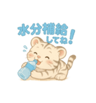 白虎くんのゆるっと暮らしPart2（個別スタンプ：6）
