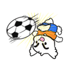 眉毛マルチーズ サッカースタンプ（個別スタンプ：11）