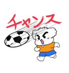眉毛マルチーズ サッカースタンプ（個別スタンプ：13）
