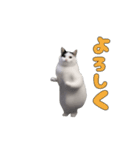 動く！踊る猫ミーム(パート27)（個別スタンプ：2）