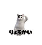 動く！踊る猫ミーム(パート27)（個別スタンプ：5）
