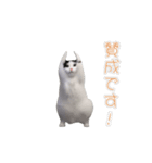 動く！踊る猫ミーム(パート27)（個別スタンプ：12）