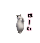 動く！踊る猫ミーム(パート27)（個別スタンプ：15）