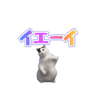 動く！踊る猫ミーム(パート27)（個別スタンプ：16）