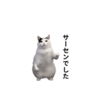 動く！踊る猫ミーム(パート27)（個別スタンプ：18）