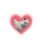 動く！踊る猫ミーム(パート27)（個別スタンプ：24）