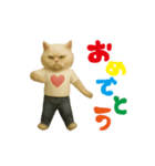 お猫様の動くスタンプ2（個別スタンプ：21）