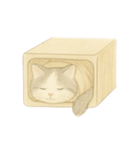ダダの気まぐれな日常（個別スタンプ：13）