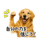ゴールデンレトリバー☆ポジティブ即返信（個別スタンプ：16）