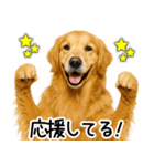ゴールデンレトリバー☆ポジティブ即返信（個別スタンプ：32）