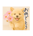 子犬のゆるく使う日常スタンプ（個別スタンプ：5）