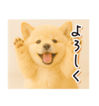 子犬のゆるく使う日常スタンプ（個別スタンプ：6）