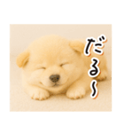 子犬のゆるく使う日常スタンプ（個別スタンプ：9）
