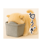 子犬のゆるく使う日常スタンプ（個別スタンプ：10）