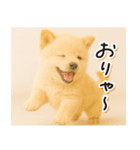 子犬のゆるく使う日常スタンプ（個別スタンプ：21）